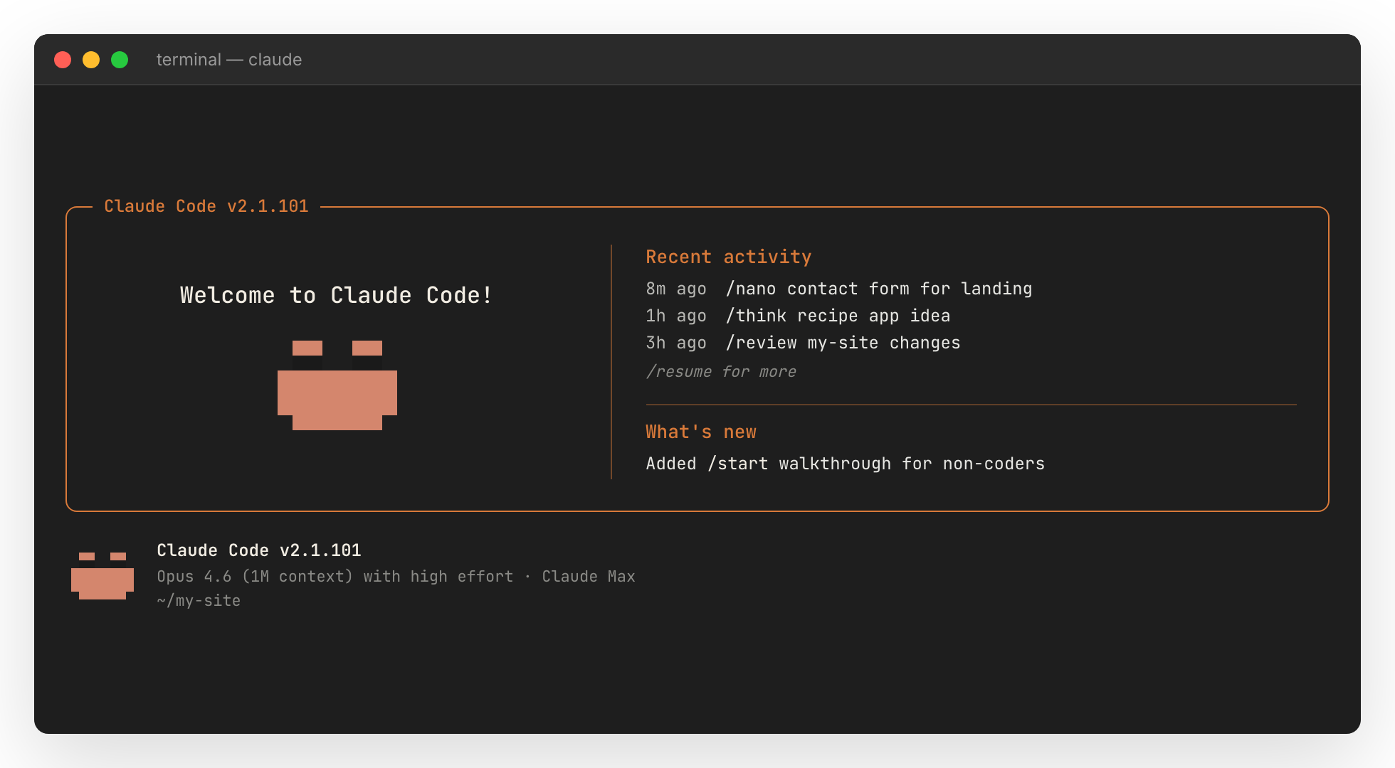 Claude Code v2.1.101 welcome screen open in the terminal, with the orange-bordered card and recent activity panel ready to receive a command.