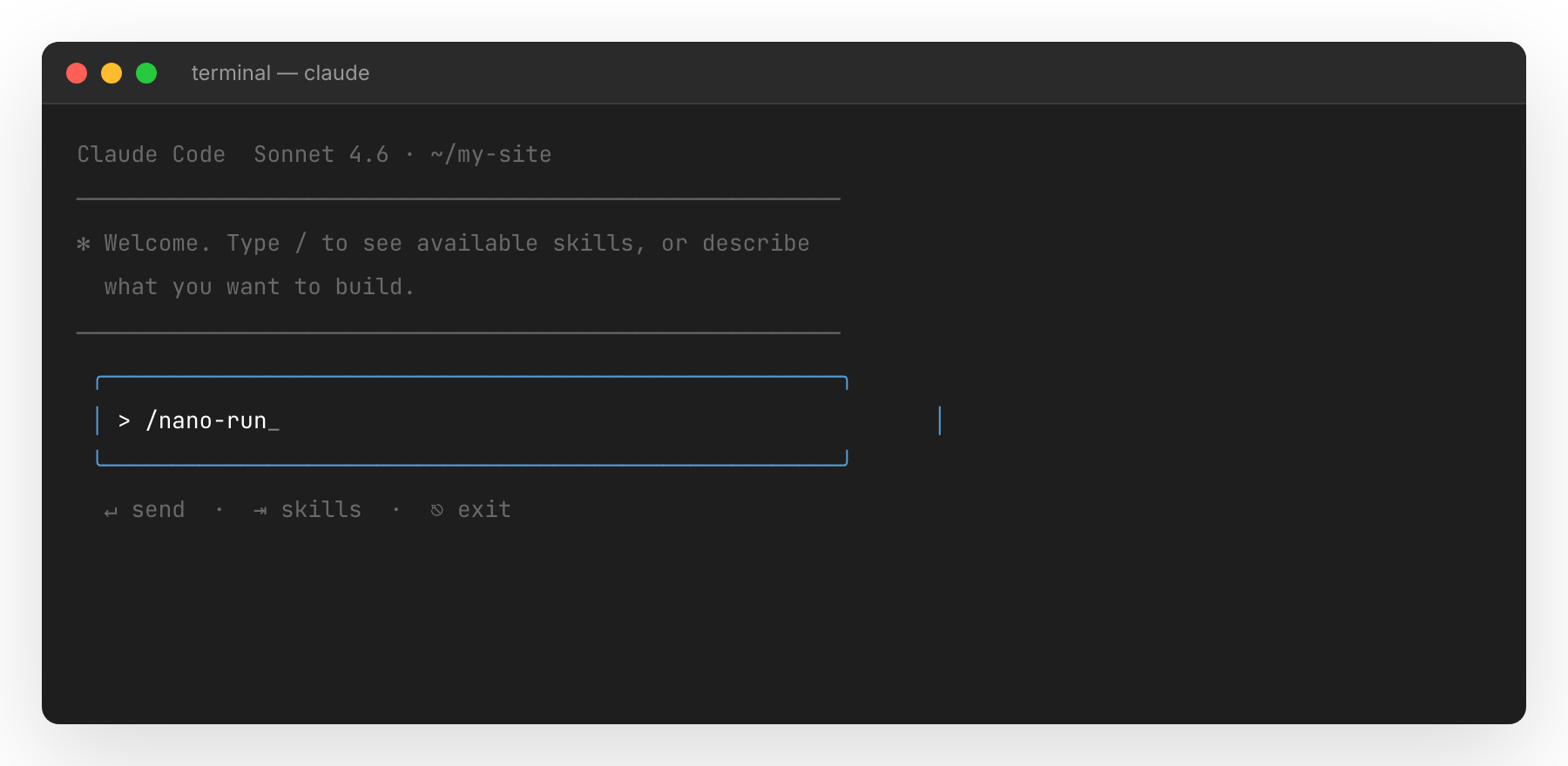Claude Code prompt with /nano-run typed in, cursor blinking after the command.